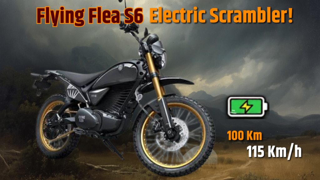 Flying Flea S6